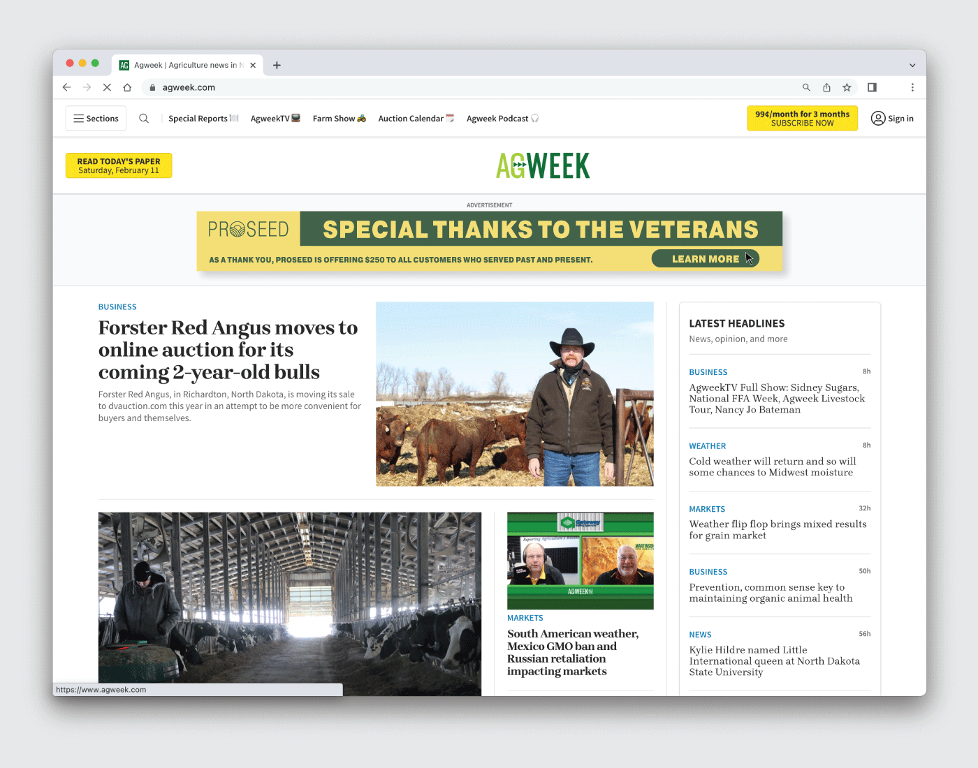 Proseed Web Ads